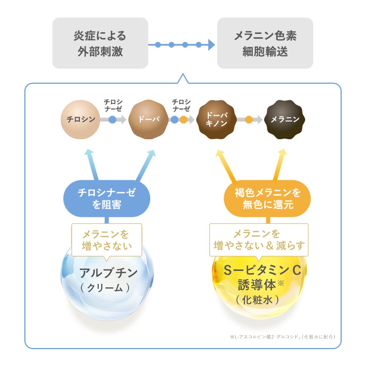 Amazon | SHIRORU (シロル) 化粧水100ml クリーム30g W美白クリスタル
